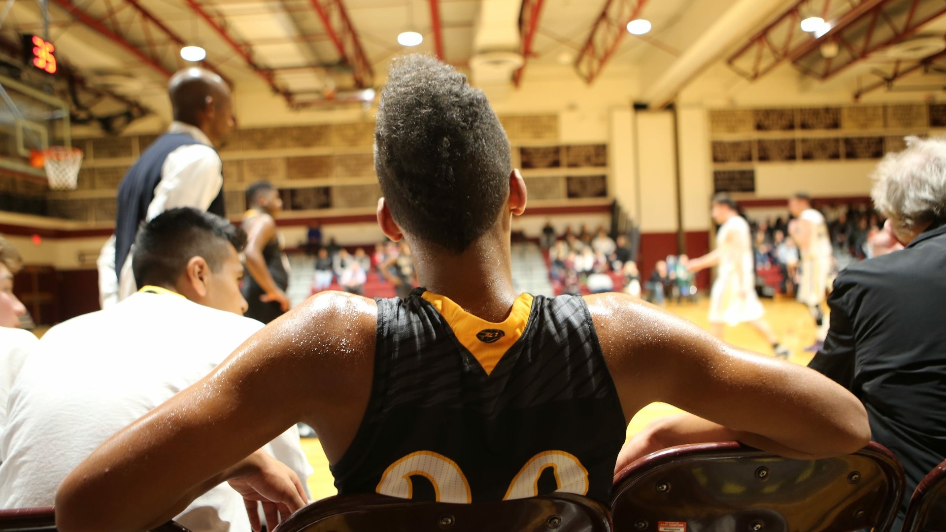 Download Movie Killer Bees 4k Ultra HD Wallpaper