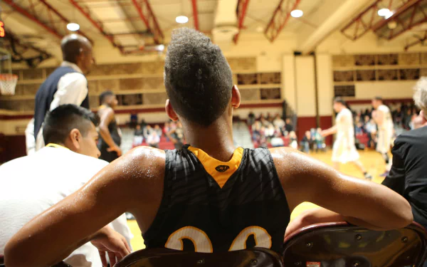 movie Killer Bees HD Desktop Wallpaper | Background Image