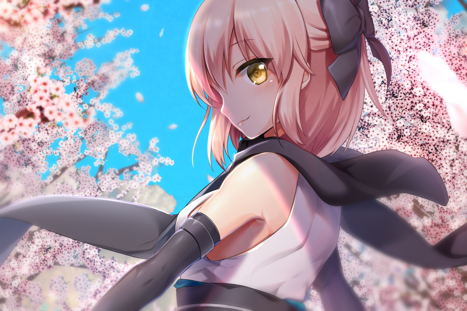 HD PC desktop wallpaper featuring Sakura Saber from Fate/Grand Order amidst blooming cherry blossoms under a bright blue sky.