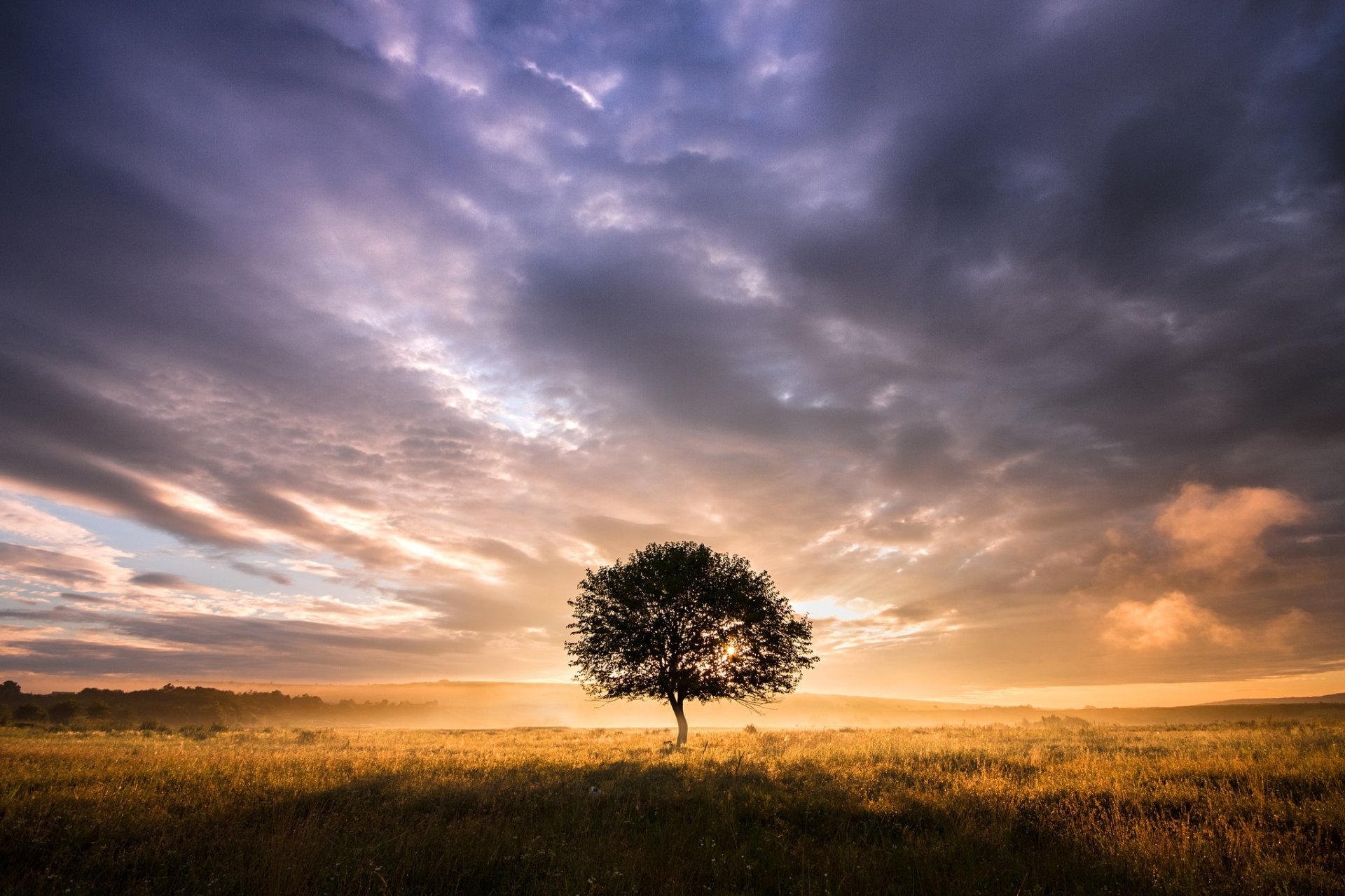 Download Cloud Sky Nature Tree HD Wallpaper