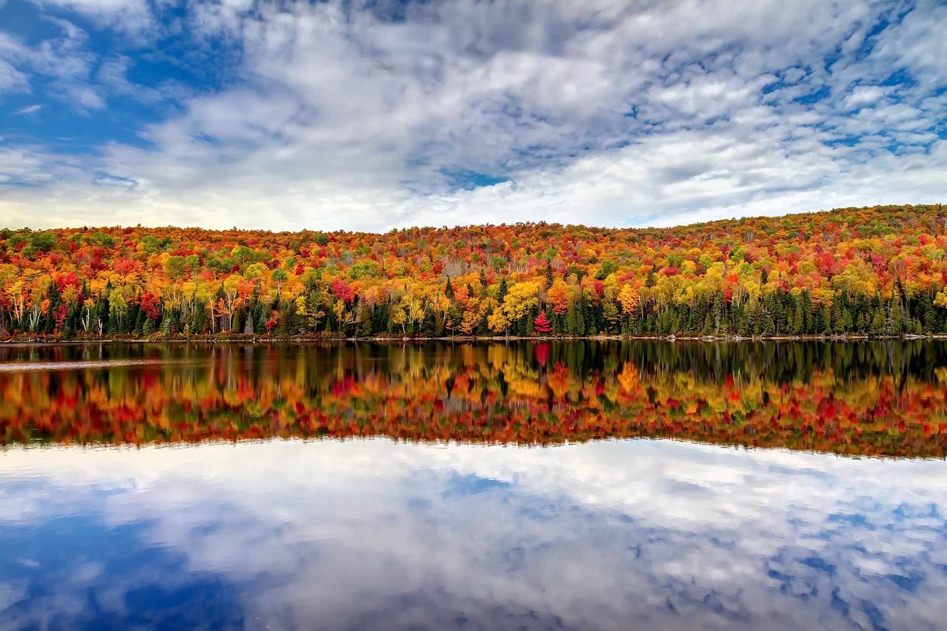 Download Forest Fall Lake Nature Reflection HD Wallpaper
