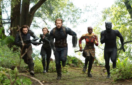 Chadwick Boseman Danai Gurira Chris Evans Scarlett Johansson Sebastian Stan Black Panther (Marvel Comics) Okoye (Marvel Comics) Captain America Black Widow Winter Soldier movie Avengers: Infinity War HD Desktop Wallpaper | Background Image