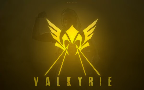 Minimalist 8K Ultra HD PC wallpaper featuring the Valkyrie emblem from Tom Clancy's Rainbow Six: Siege, highlighting the game's iconic design in a sleek gaming style.