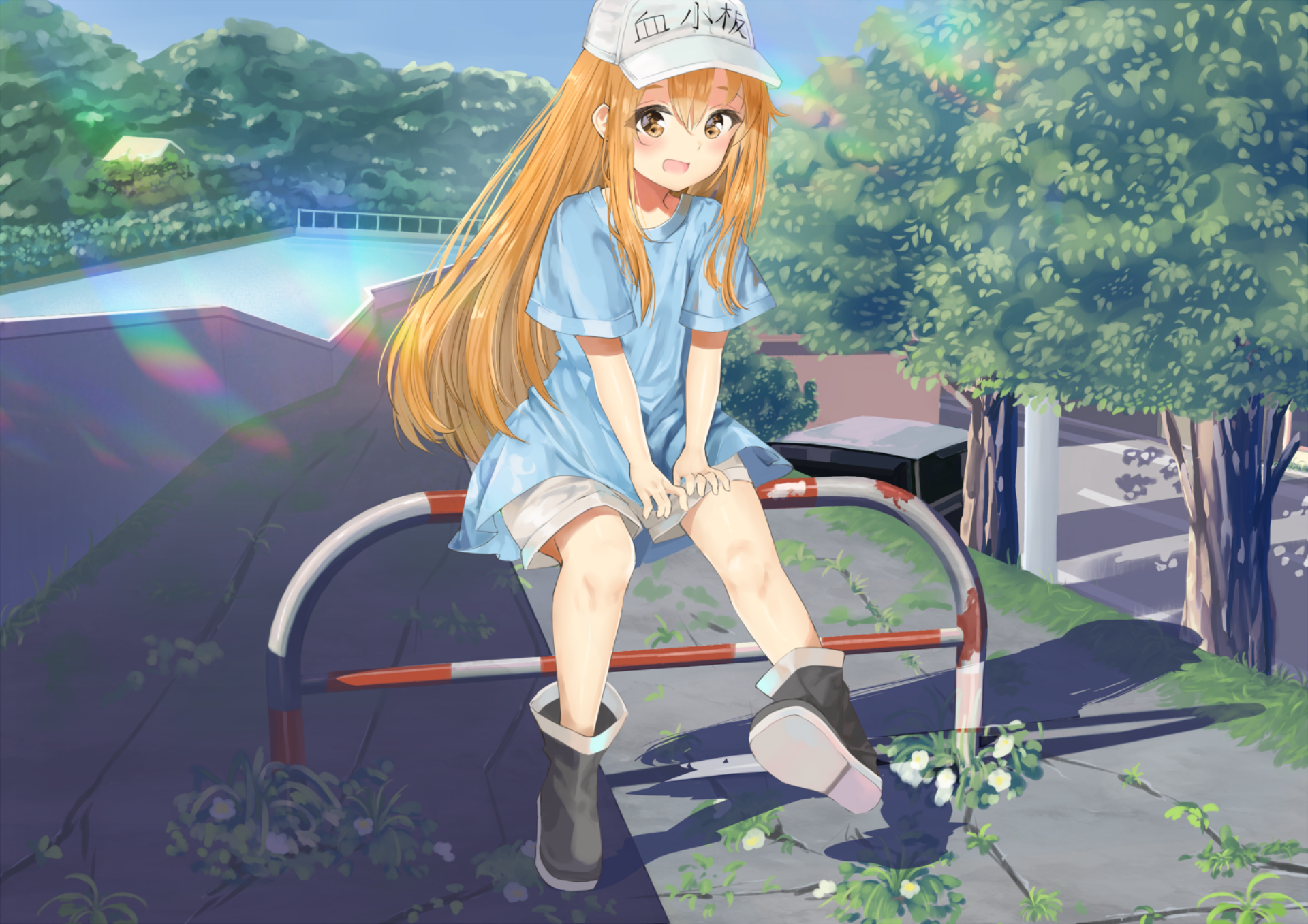 CELLS AT WORK/HATARAKU SAIBOU] No anime Cells At Work/Hataraku