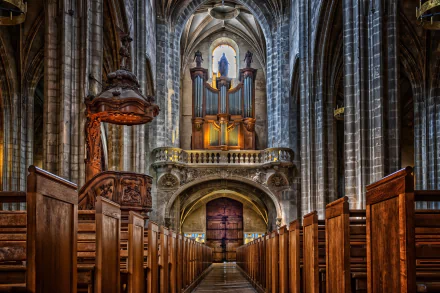 5K Ultra HD PC desktop wallpaper — interior of a French Christian cathedral: nave view toward an ornate organ, carved wooden pews and soaring vaulted stone arches.
