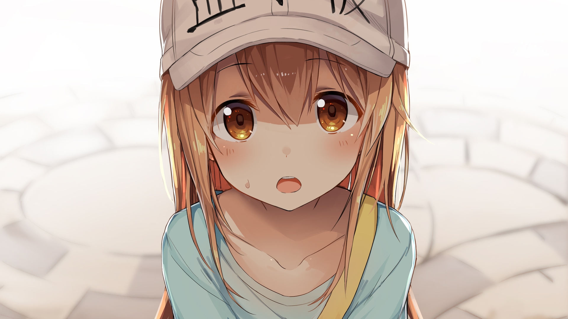 Hataraku Saibou - Desktop Wallpapers, Phone Wallpaper, PFP, Gifs, and More!