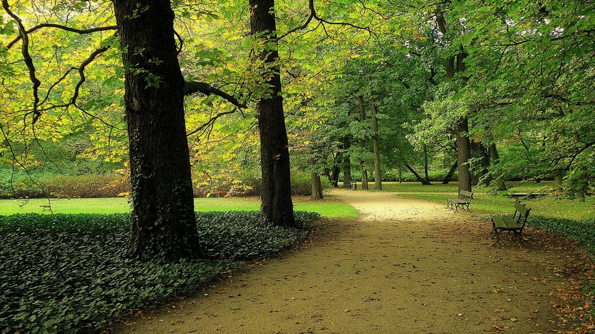 A tranquil park scene with trees, greenery, a dirt path, and a bench. The image is a high-definition desktop wallpaper and background, showcasing peaceful natural beauty.
