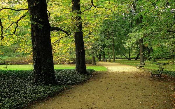 A tranquil park scene with trees, greenery, a dirt path, and a bench. The image is a high-definition desktop wallpaper and background, showcasing peaceful natural beauty.