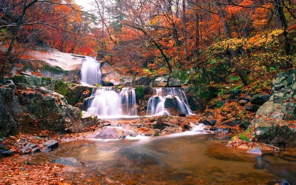 Earth Waterfall Waterfalls Nature Fall Forest HD Wallpaper | Background Image