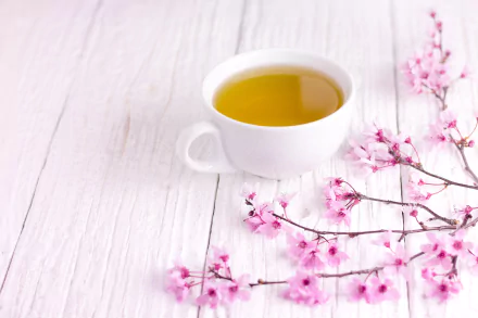 White cup holding green tea, a simple food beverage, on white wooden boards with pink cherry blossoms; 5K Ultra HD PC desktop wallpaper and background.