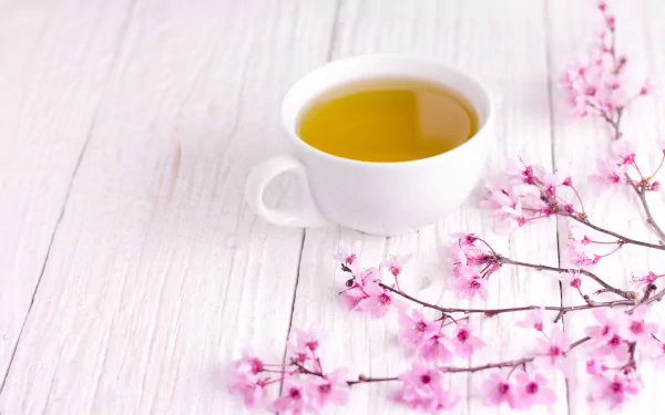 White cup holding green tea, a simple food beverage, on white wooden boards with pink cherry blossoms; 5K Ultra HD PC desktop wallpaper and background.