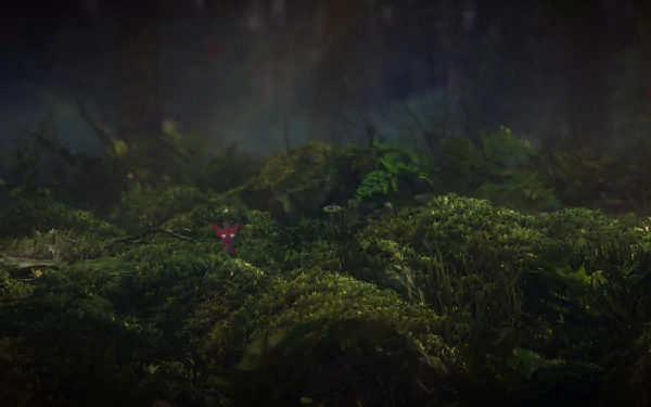 video game Unravel Two HD Desktop Wallpaper | Background Image