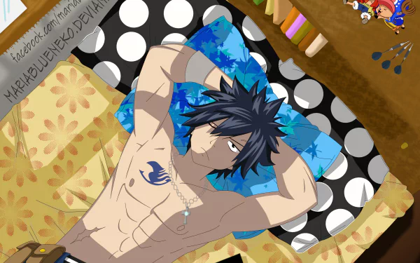 Gray Fullbuster Anime Fairy Tail HD Desktop Wallpaper | Background Image