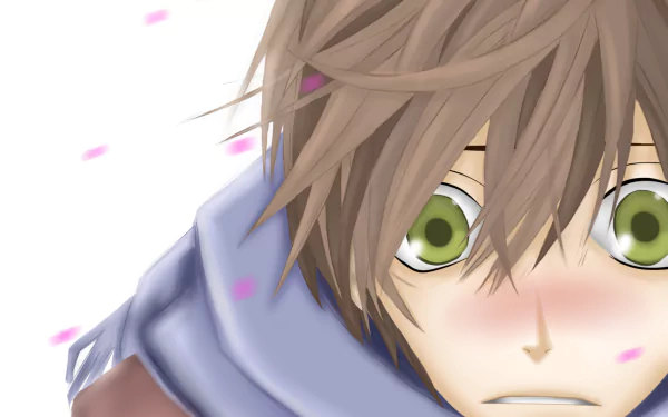 Ritsu Onodera Anime Sekaiichi Hatsukoi HD Desktop Wallpaper | Background Image