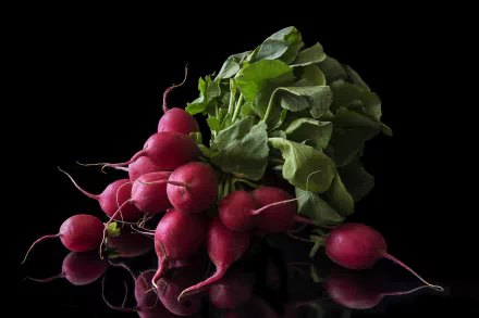 food beet HD Desktop Wallpaper | Background Image