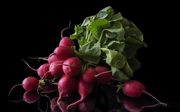 food beet HD Desktop Wallpaper | Background Image
