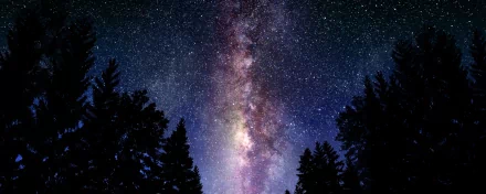 A stunning HD wallpaper featuring the Milky Way galaxy, set against a backdrop of silhouetted trees, capturing the essence of sci-fi wonder and cosmic beauty.