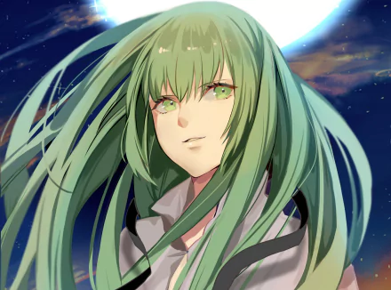 HD anime wallpaper featuring Enkidu from Fate/Grand Order with flowing green hair, set against a night sky background showcasing the moon.