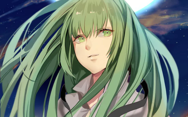 HD anime wallpaper featuring Enkidu from Fate/Grand Order with flowing green hair, set against a night sky background showcasing the moon.
