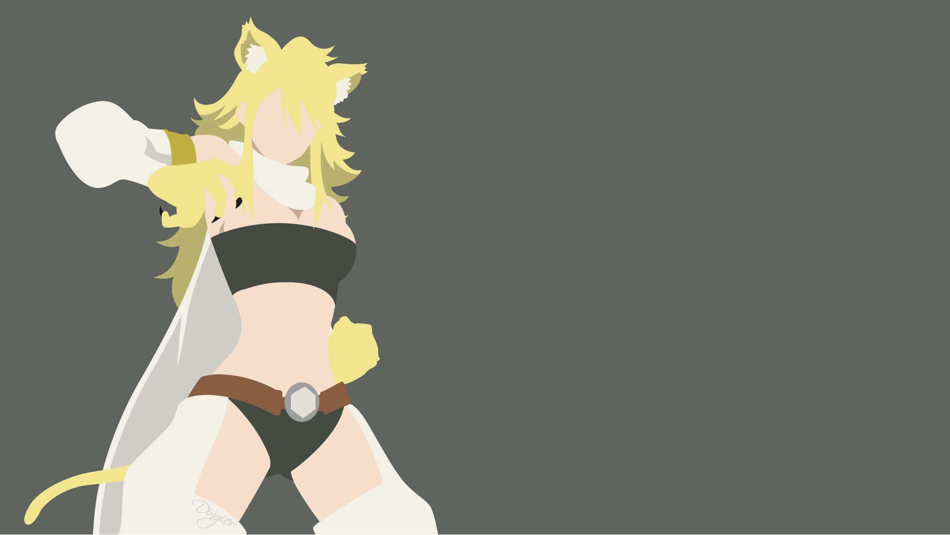 Stylized HD PC desktop wallpaper of Leone (Akame ga Kill!) — anime character in a black two-piece, white cape, cat-like ears and tail, posed left of center on a muted gray background.