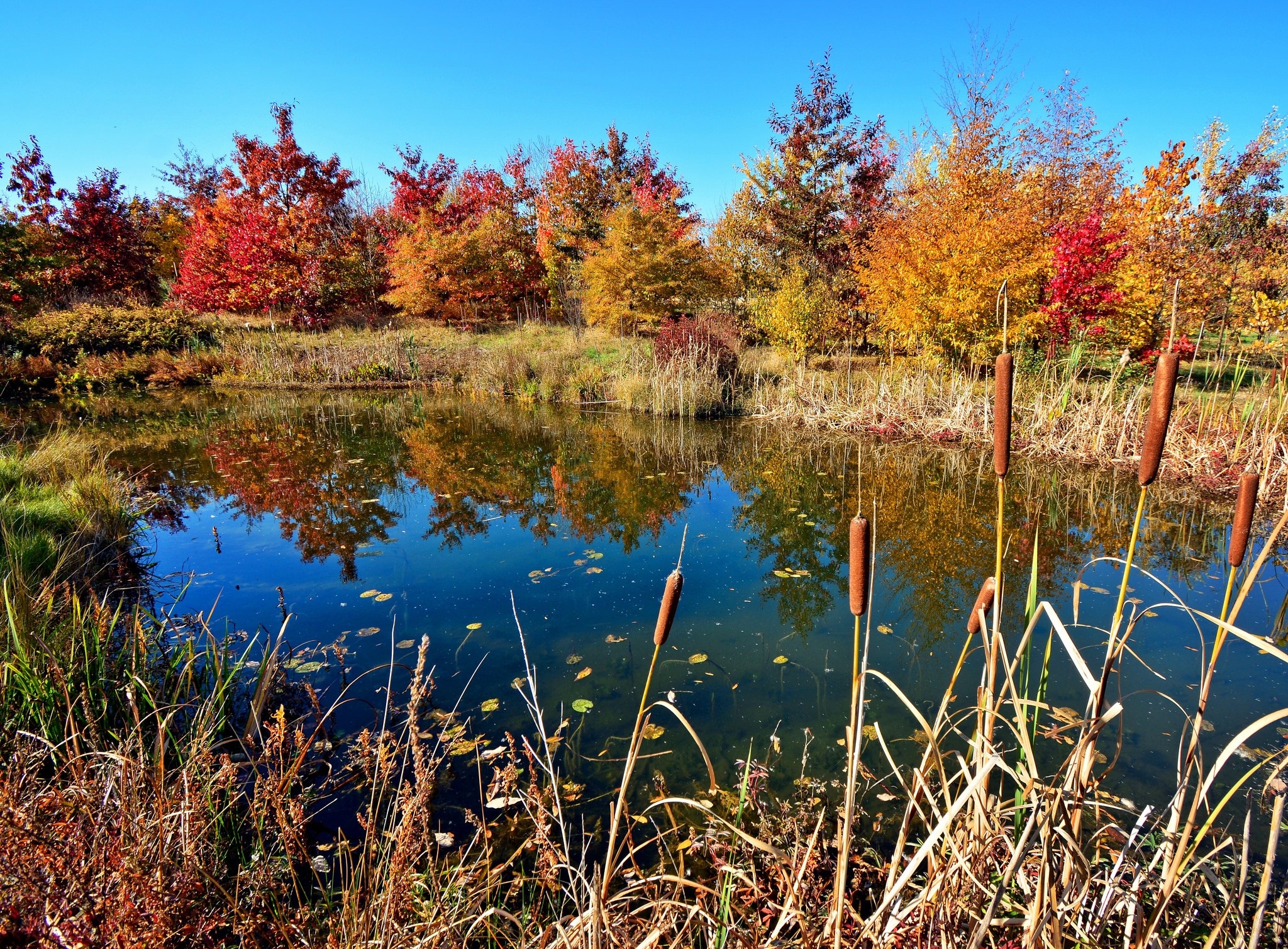 Nature Lake HD Wallpaper by Hans Vaupel