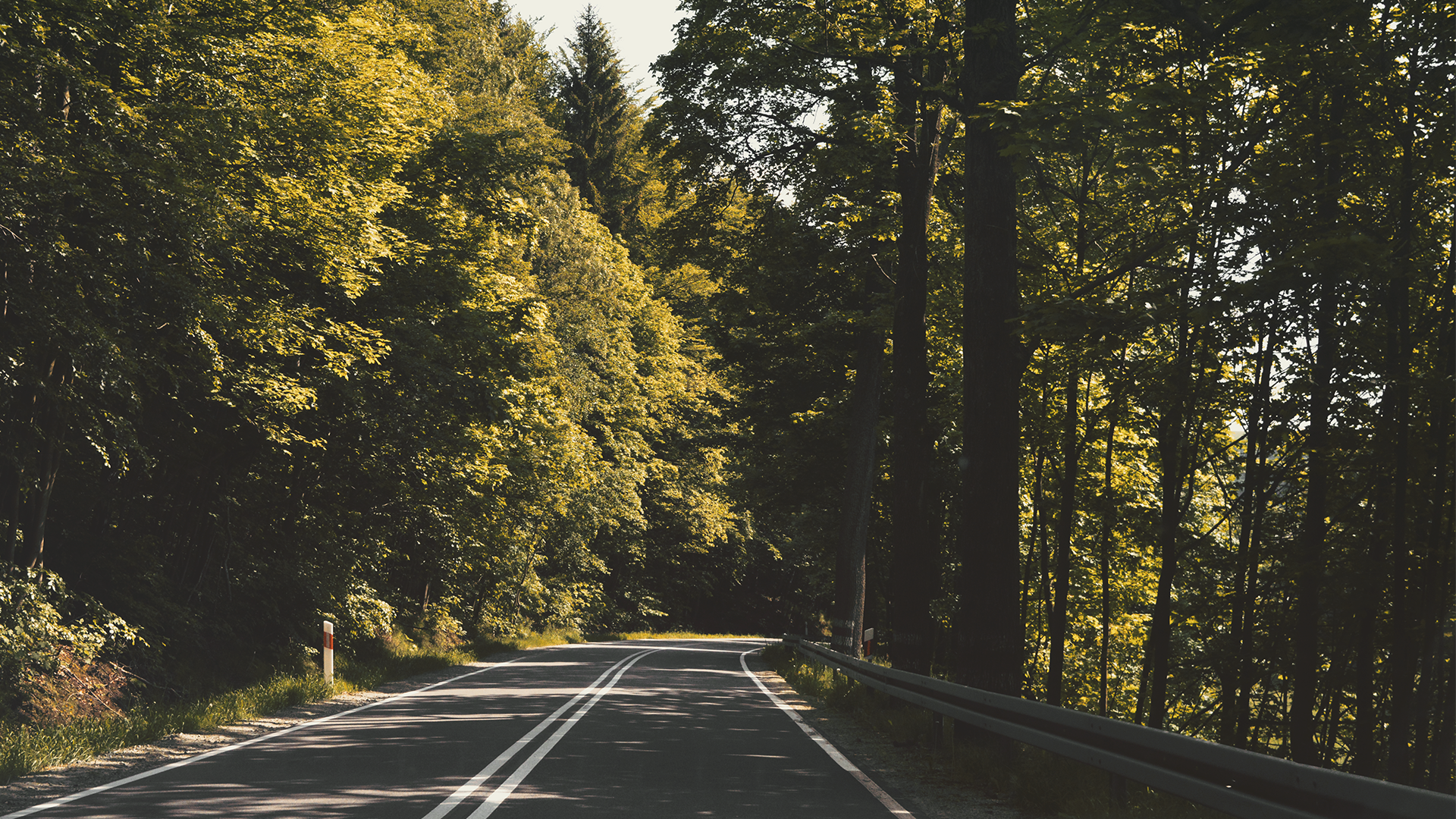 Download Tree Forest Man Made Road HD Wallpaper by IDN666