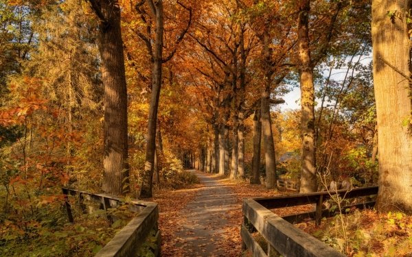 Man Made Path HD Wallpaper | Background Image