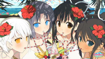 HD PC desktop wallpaper featuring characters from the video game SENRAN KAGURA Peach Beach Splash enjoying tropical drinks with vibrant hibiscus flowers in their hair.