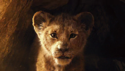 HD wallpaper featuring Simba from The Lion King (2019) movie. The young lion's face is centered, with the surrounding environment dimly lit, highlighting his expressive features.