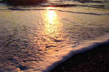 HD PC desktop wallpaper showing a serene beach scene with gentle waves glowing under the golden light of a setting sun.