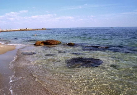 nature beach HD Desktop Wallpaper | Background Image