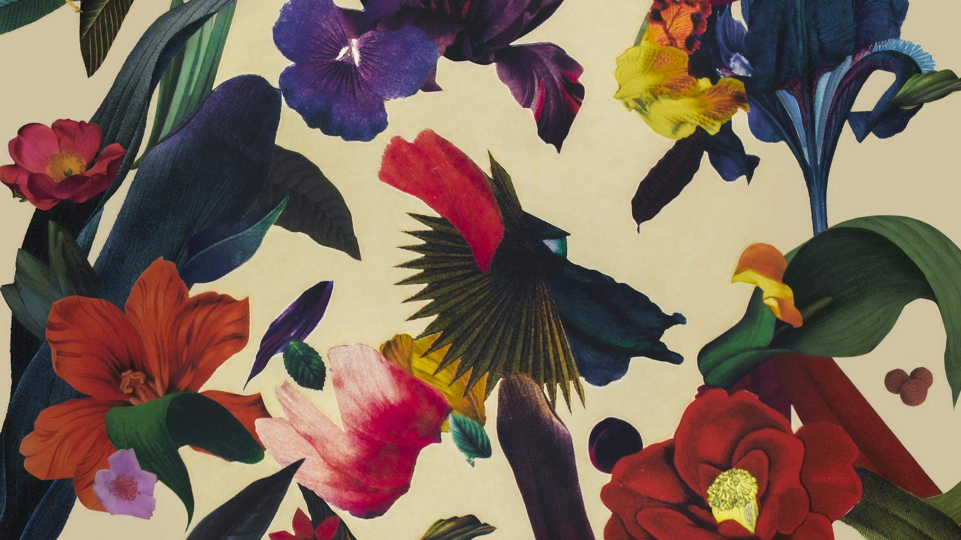 4K Ultra HD Floral Art: Vibrant Bloom Symphony | 3840x2160 | Wallpaper ...