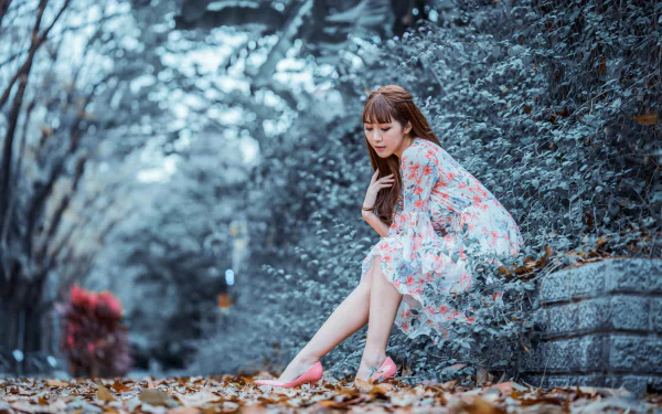 brunette mood dress depth of field model woman asian HD Desktop Wallpaper | Background Image