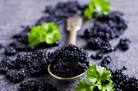 food caviar HD Desktop Wallpaper | Background Image