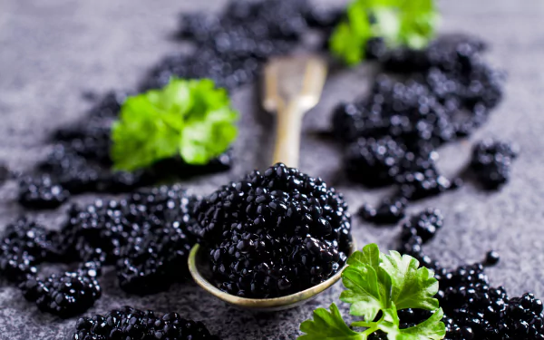 food caviar HD Desktop Wallpaper | Background Image