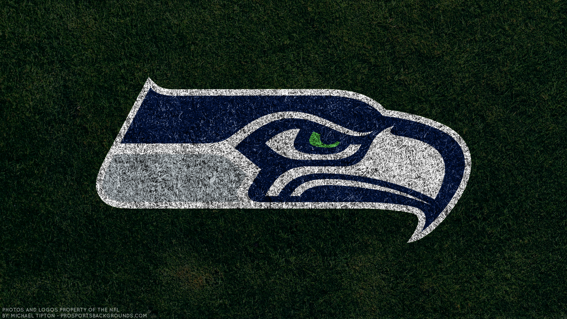 HD wallpaper: Seattle Seahawks logo, Football