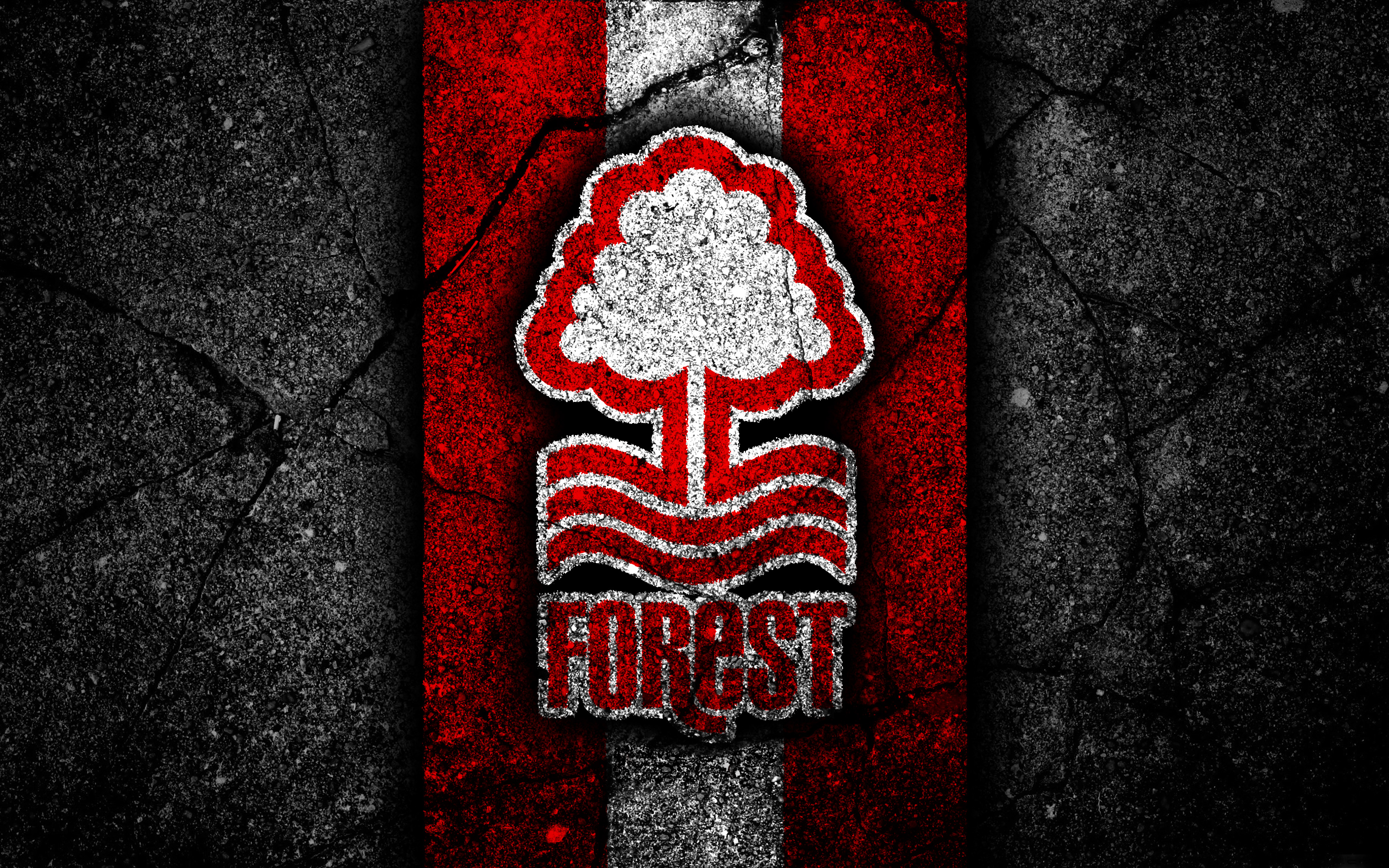 Nottingham Forest F.C. 4k Ultra HD Wallpaper | Background ...