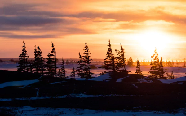 sky winter nature sunset winter sunset HD Desktop Wallpaper | Background Image