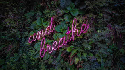 neon sign artistic neon HD Desktop Wallpaper | Background Image