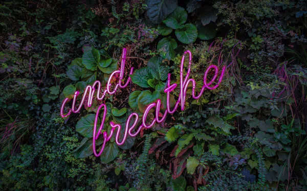 neon sign artistic neon HD Desktop Wallpaper | Background Image