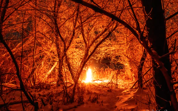 photography fire HD Desktop Wallpaper | Background Image