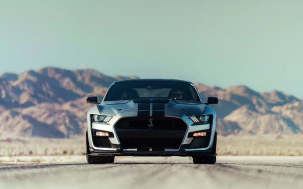 silver car muscle car car Ford Ford Mustang Ford Mustang Shelby vehicle Ford Mustang Shelby GT500 HD Desktop Wallpaper | Background Image