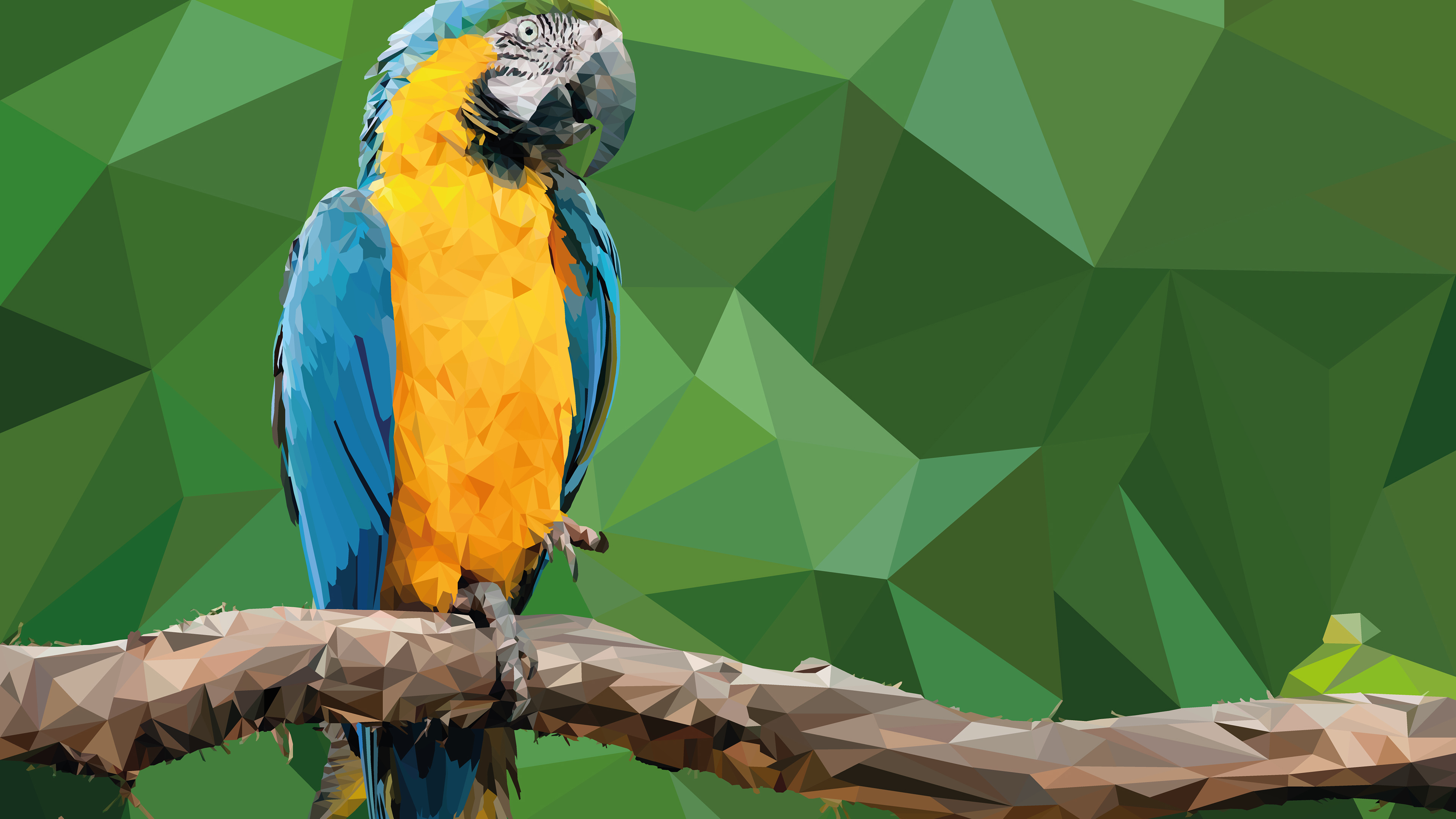 Blue-and-yellow Macaw 4k Ultra HD Wallpaper