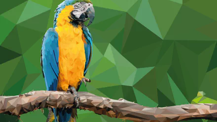 facets macaw Animal Blue-and-yellow Macaw HD Desktop Wallpaper | Background Image