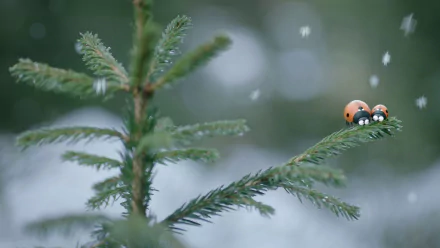 movie Minuscule 2: Mandibles From Far Away HD Desktop Wallpaper | Background Image