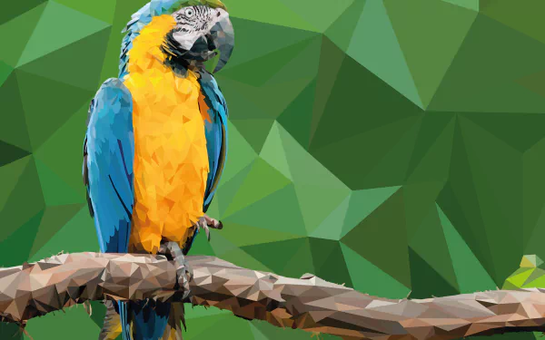 facets macaw Animal Blue-and-yellow Macaw HD Desktop Wallpaper | Background Image