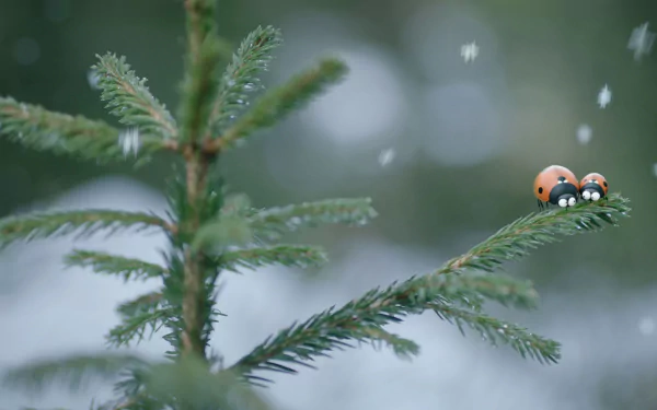 movie Minuscule 2: Mandibles From Far Away HD Desktop Wallpaper | Background Image