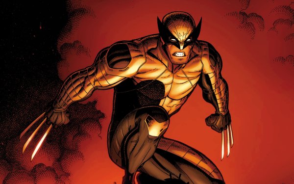 Comics Wolverine X-Men HD Wallpaper | Background Image