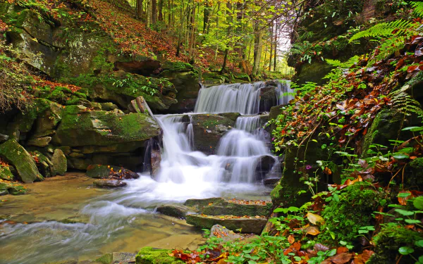 nature stream HD Desktop Wallpaper | Background Image