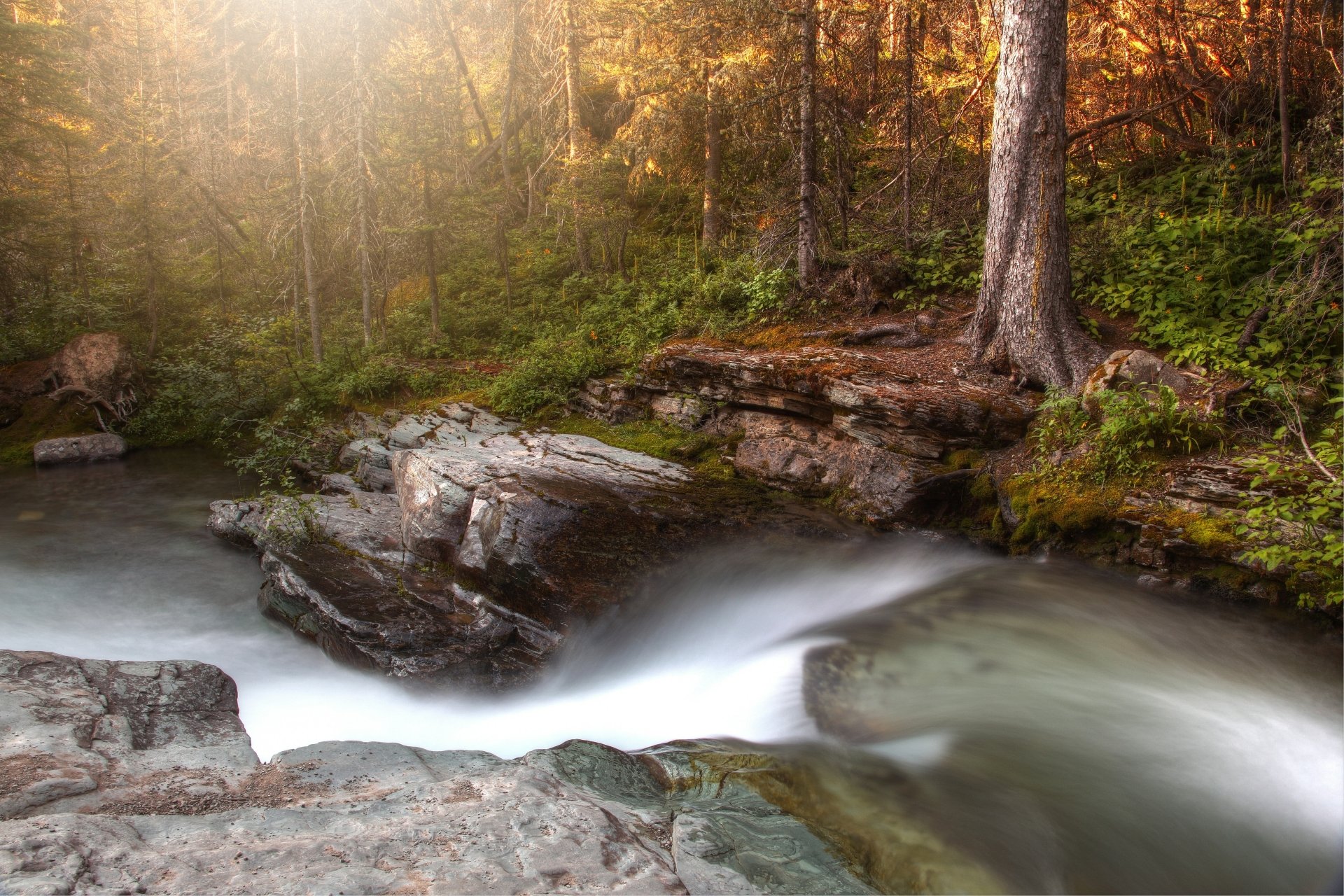 4K Ultra HD desktop wallpaper of a serene river flowing through a vibrant fall forest, bathed in soft sunlight filtering through the trees.